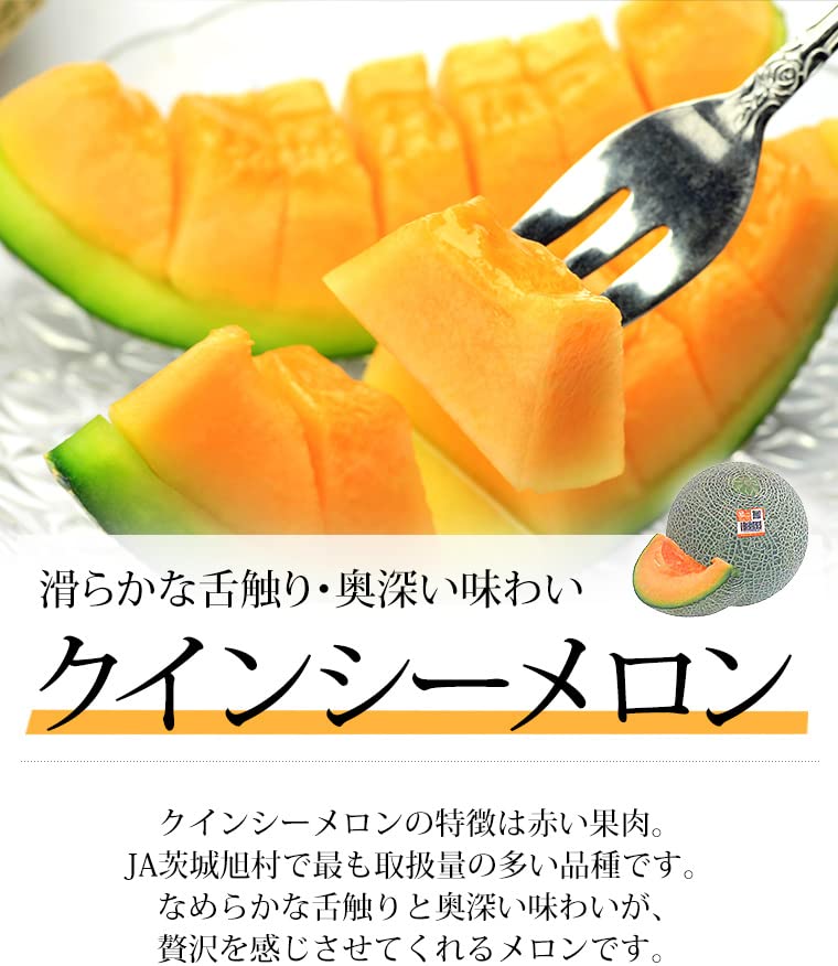 Amazon.co.jp: メロン クインシーメロン アンデスメロン エルソル